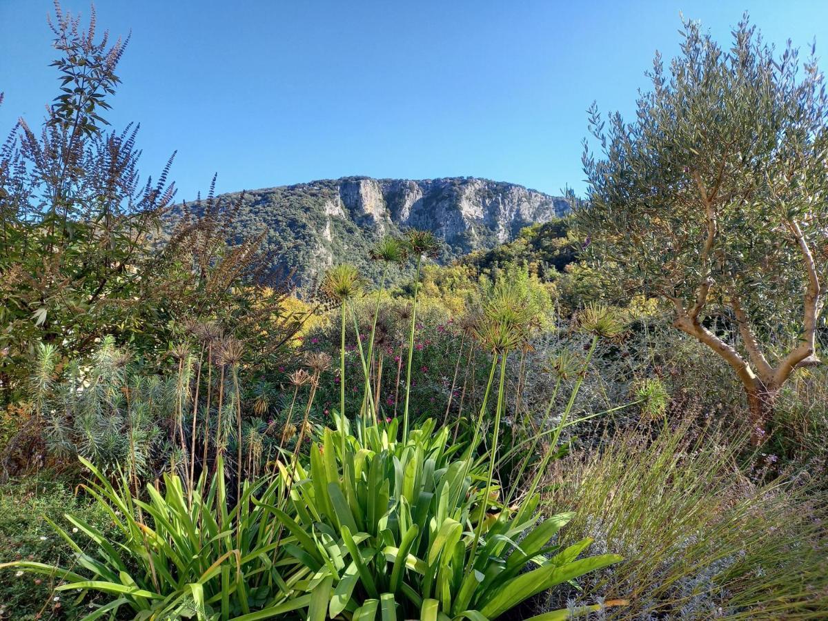 Gite en Cévennes: Restored Bergerie with Pool and Exceptional Views Saint-Laurent-le-Minier Exterior photo